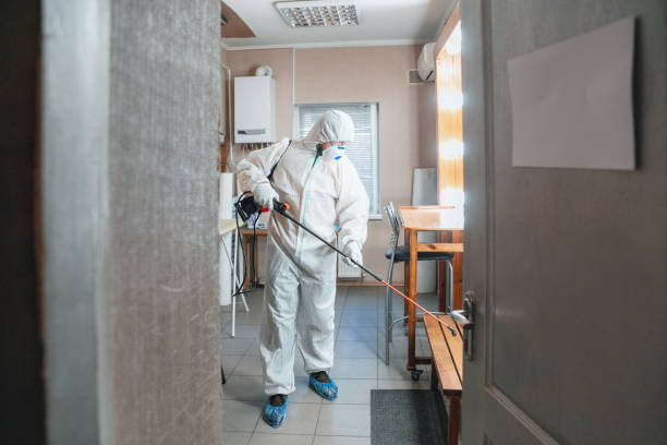 Best Mold Documentation for Insurance Claims  in Tavares, FL