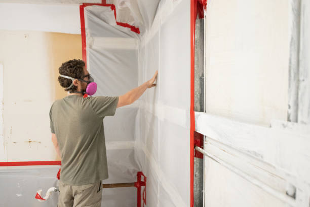 Best Mold-Related Health Consultation  in Tavares, FL
