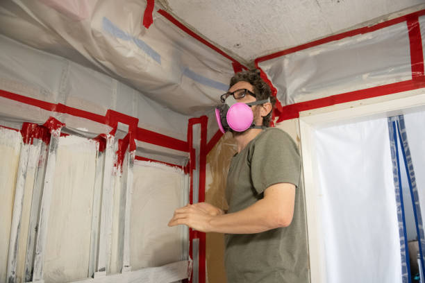 Best Post-Construction Mold Inspection  in Tavares, FL