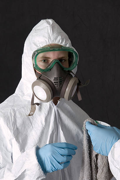 Best Water Damage & Mold Remediation  in Tavares, FL